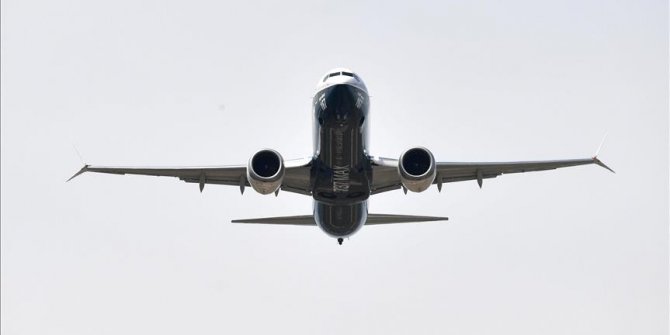 Air India'dan tahtakurusu ısırıkları için özür