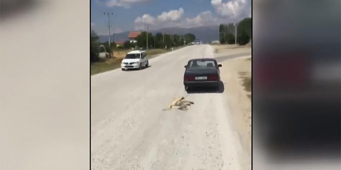 O vicdansıza para cezası verildi!