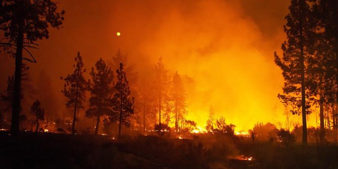 California'daki yangınlar kontrol altına alındı