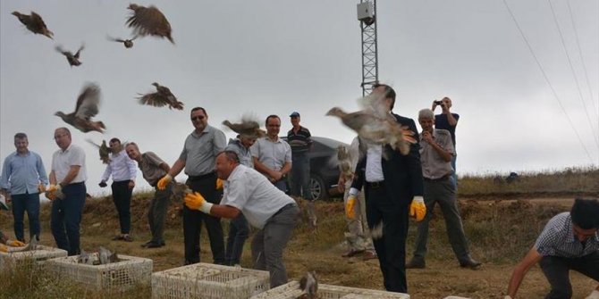 Tekirdağ'da bin keklik doğaya bırakıldı