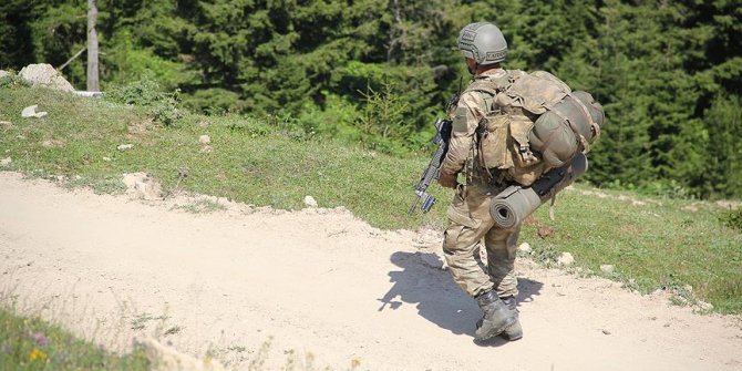 'Bebek katili' PKK'ya temmuzda ağır darbe vuruldu!