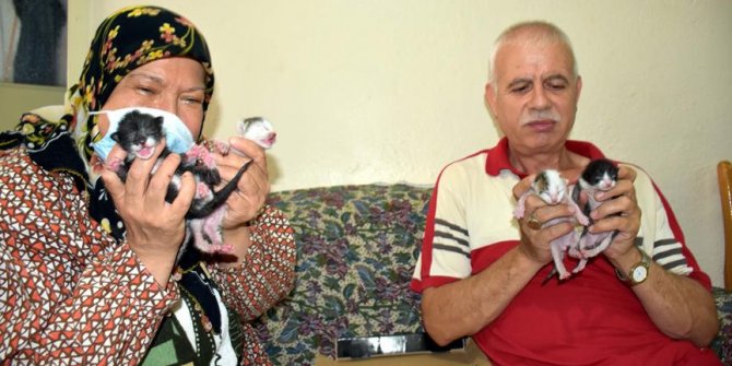 Hayvansever çiftten örnek davranış