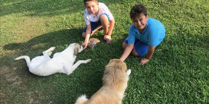 Sokak hayvanları için su satan 'büyük adamlar'