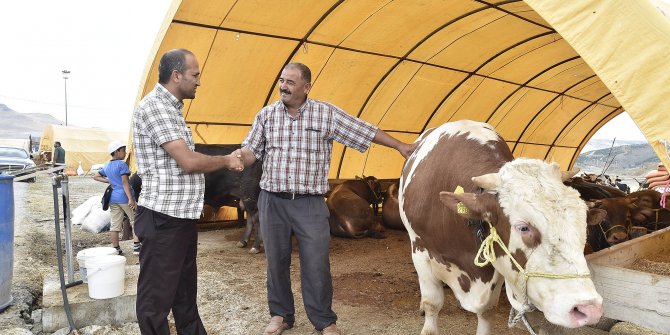 Sıkı pazarlık