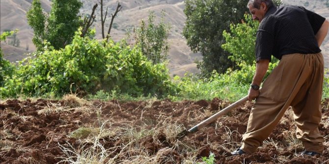 Irak'ta kuraklık tarım sektörünü vurdu