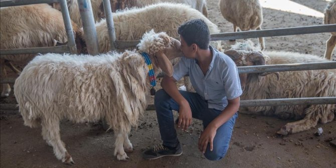 Hayvan pazarlarında 'kurban' hareketliliği