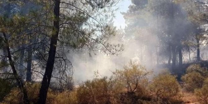 Muğla'da yıldırım düştü, orman yangını çıktı