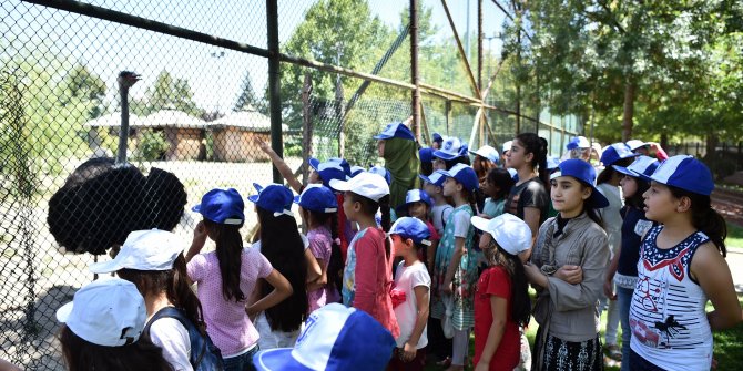 Sokakta çalışan çocuklar hayvan parkı’nda