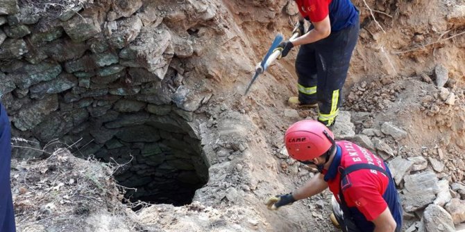 İtfaiyeden inek kurtarma operasyonu