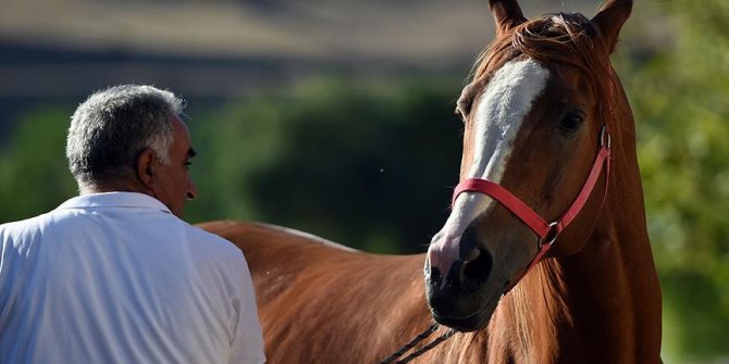 Milyonluk atların fedakar bakıcısı 'Oktay çavuş'