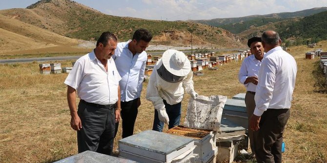 Yaylalara huzur geldi, arıcıların yüzü güldü