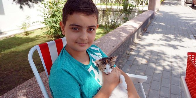 Su satarak sokak hayvanlarını besliyor