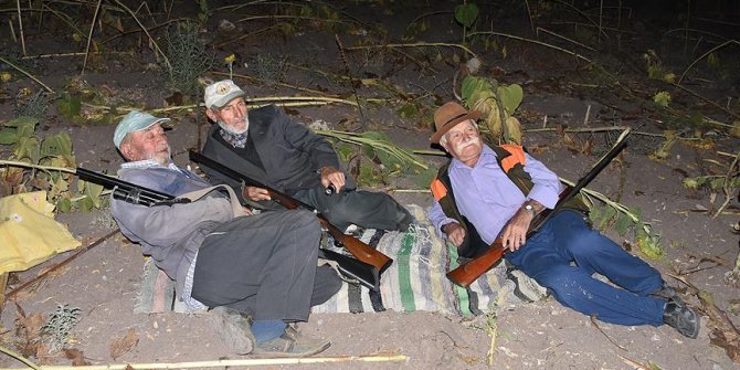 Köyün ihtiyar delikanlıları domuz nöbetinde