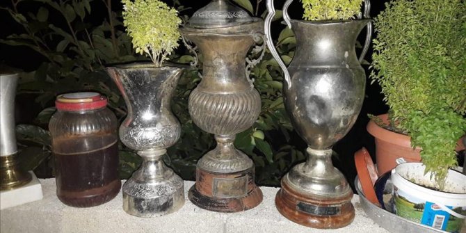 Şampiyonluk kupasında fesleğen yetiştirmişler