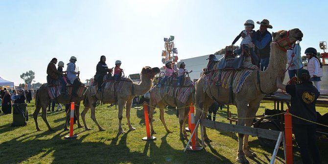 Avustralya'da Müslümanların 'Bayram Festivali' coşkusu