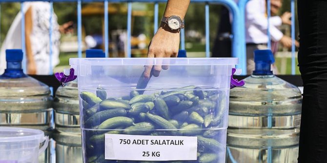 'Dünyanın en büyük turşu kurma rekor denemesi'