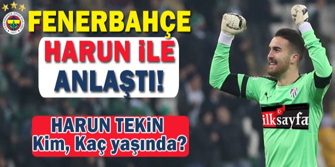 Fenerbahçe'nin yeni kalecisi Harun Tekin kimdir, kaç yaşında, boyu kaç, kilosu ne, nereli?