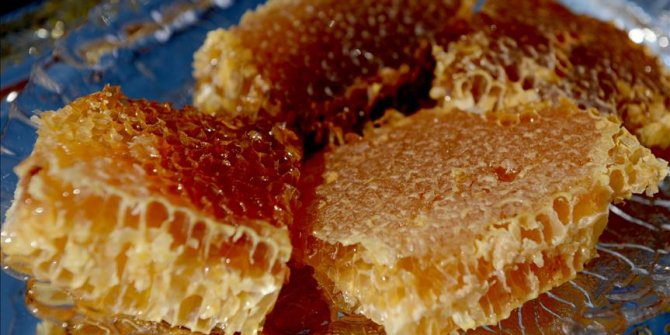 Rekolte azlığı bal ihracatını olumsuz etkiledi