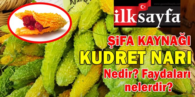 Şifa Kaynağı: Kudret Narı nedir? Faydaları nelerdir? Nasıl yenir?