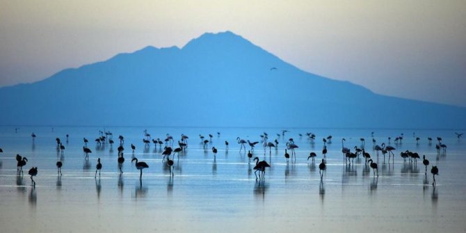 Bozkırın ortasındaki 'kuş cenneti' Tuz Gölü