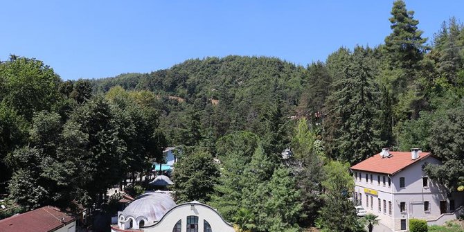 Türkiye'nin ilk arboretumu 89 yaşında
