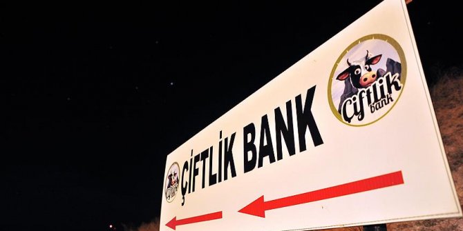 Çiftlik Bank'ın 'finans müdürü' tutuklandı!