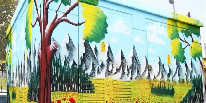 Sinoplu çift Siirt'in duvarlarını süslüyor