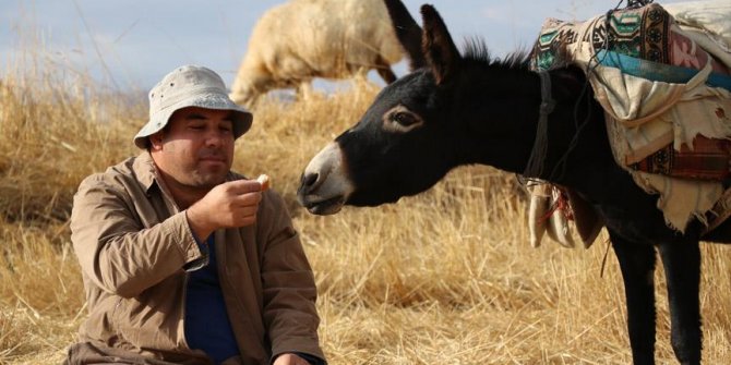 İlçede başkan merada çoban