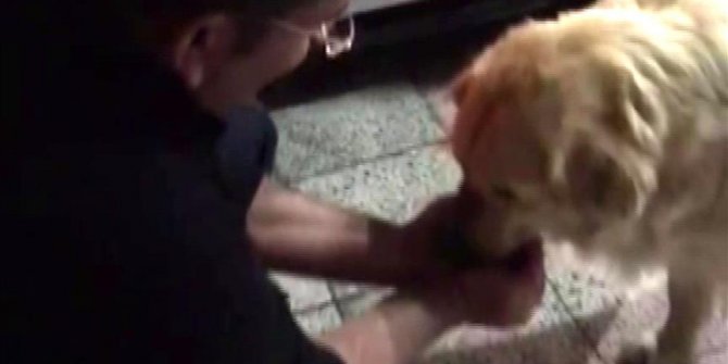 Susayan köpeğe polis şefkati