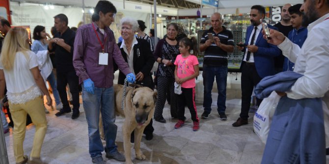 Sivas'ın renkleri Ankara'da