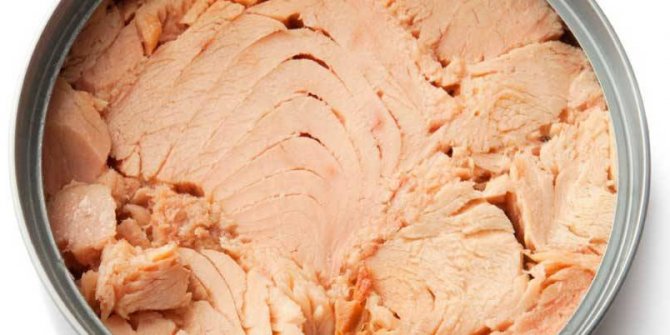 3 günde 1,5 kilo verdiren diyet! zayıflamak hiç bu kadar kolay olmamıştı! nasıl zayıflarım ?