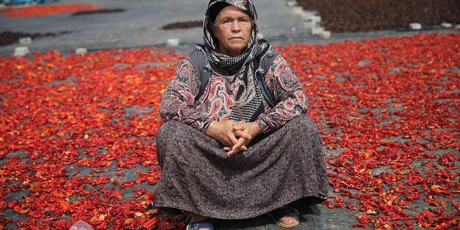 Şanlıurfalı kadınlar 'acıya' meydan okuyor