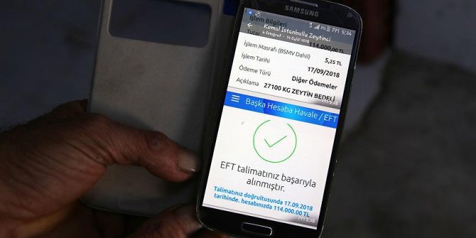 Sahte EFT talimatı fotoğrafıyla 27 ton zeytinini kaybetti