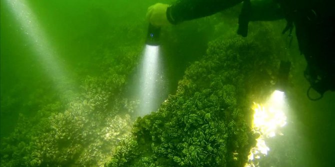 Japon mühendis 'asrın felaketi'nin izlerini su altında aradı