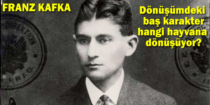 Franz Kafka'nın Dönüşüm kitabında başkarakter hangi hayvana dönüşüyor?