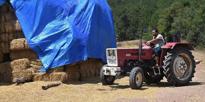 AVM yöneticisi köyünde hayvancılığa başladı