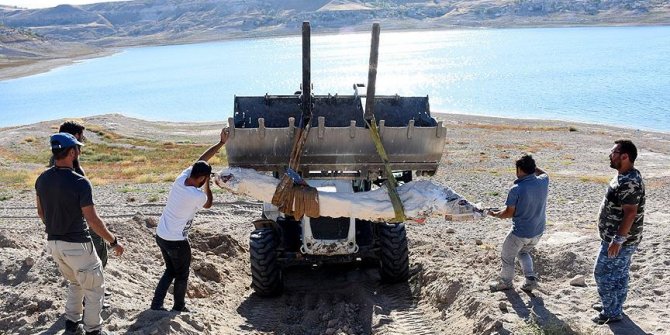 7,5 milyon yıllık fosiller özel yöntemle taşındı