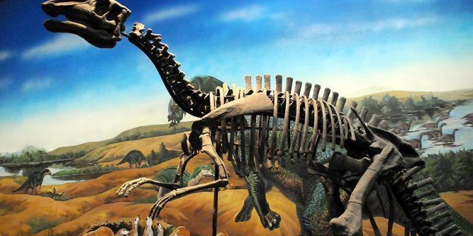 Güney Afrika'da yeni dinozor türü keşfedildi