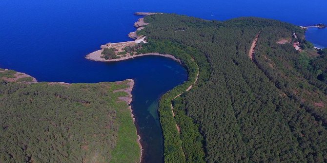 Tabiat parkları 'cazibe merkezi'ne dönüştü