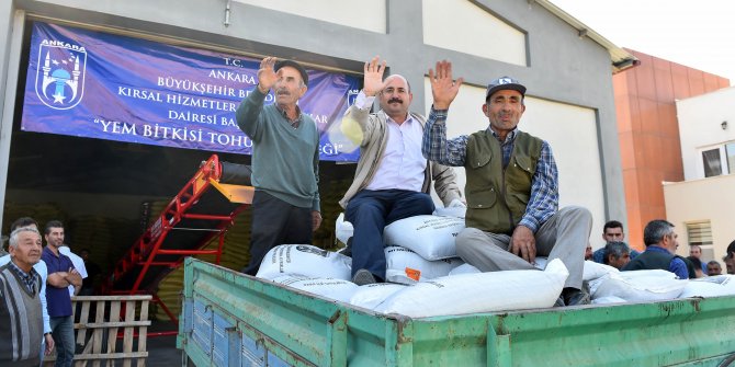 Macar Tohumuna ilgi yoğun