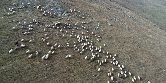 Karadeniz yaylalarından dönüş vakti