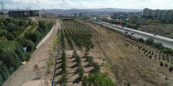 Etimesgut Belediyesi, ilçedeki park sayısını 316’ya çıkardı