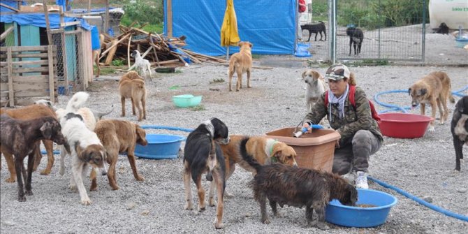 Sokak hayvanlarını hayatına 'ortak' ediyor