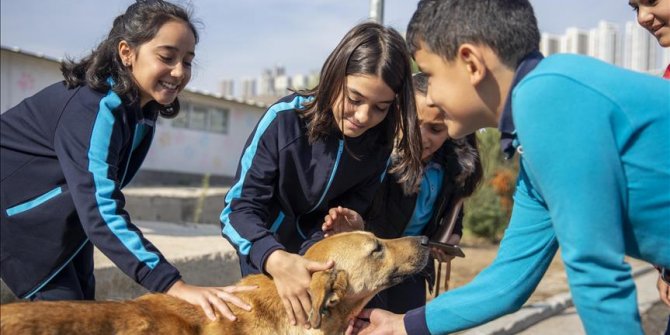 Çocuklar sokak hayvanlarıyla buluştu