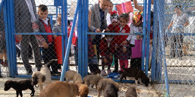 Kahramankazan'da can dostlara ziyaret