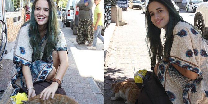 Gaziantep sokaklarının kedileri İtalyan Lucato'ya emanet