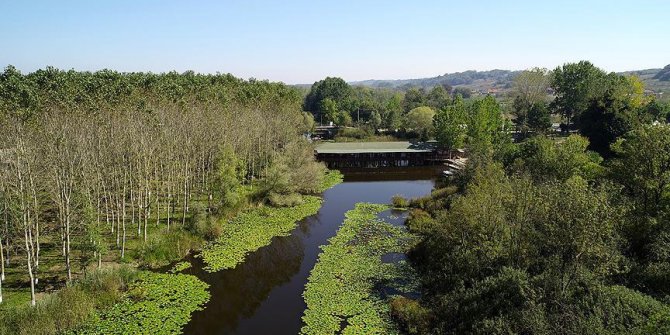 Acarlar Longozu'na ziyaretçi ilgisi