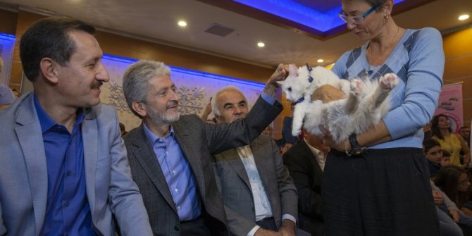 Ankara kedisini seçti