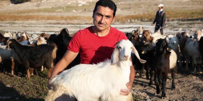 Çobanlık yaparak hayata tutundu