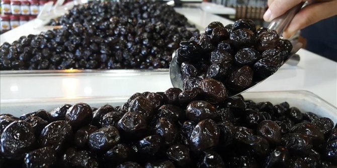 Marmarabirlik zeytin alım fiyatları açıklandı